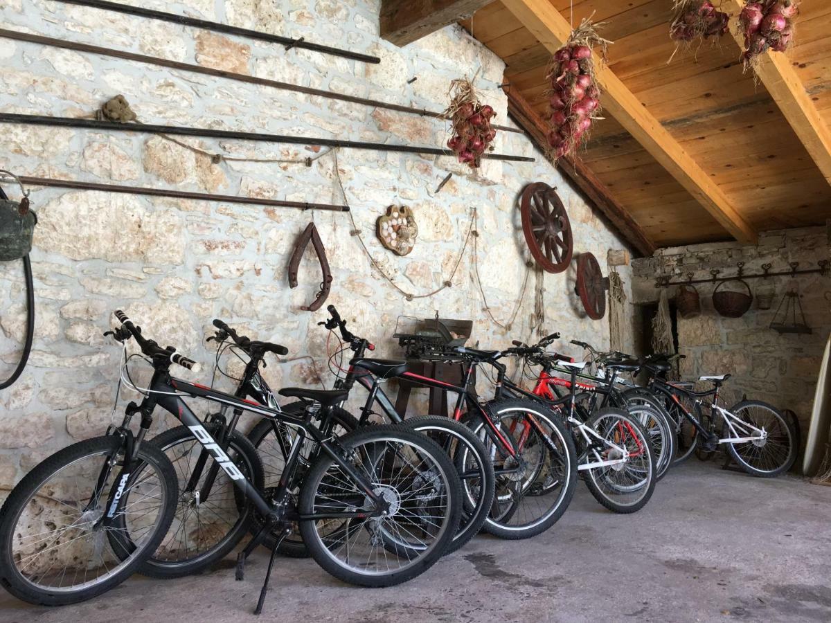 Rustic Jolly Apartment Premantura